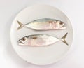 Two fish on white plate and white background Royalty Free Stock Photo