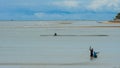 Two fishermen standing in the water at low tide fisihing with a net Royalty Free Stock Photo