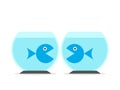 Two fishes, separate fishbowls Royalty Free Stock Photo