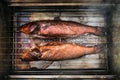 Two fishes smoking on the barbecue, photo from above. Cooking Royalty Free Stock Photo