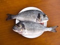Two fishes on the white plate Royalty Free Stock Photo