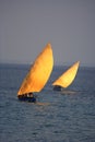 Two fishing boats Royalty Free Stock Photo