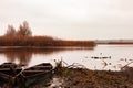 Two fishing boats by a calm autumn river Royalty Free Stock Photo