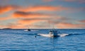 Two Fishing Boats Speeding at Dusk