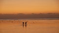 fishmen in the sea in the evening sunlight on the background of the sunset Royalty Free Stock Photo