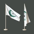 Two flags of Organisation of Islamic Cooperation on a neutral background - one fluttering on a flagpole, the other twisted