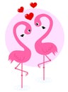 Two flamingo birds in love