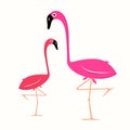 Two Flamingo Illustration