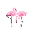 Two Flamingo label. Vector illustration. Royalty Free Stock Photo