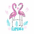Two flamingos in love on a blue background Royalty Free Stock Photo