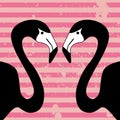 Two flamingos Royalty Free Stock Photo
