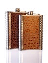 Two Flask with the Leather Side Royalty Free Stock Photo