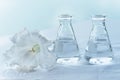 Two flask with water and white soft flower for cosmetic or medical science research background Royalty Free Stock Photo