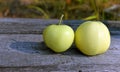 Two flavovirent apples on a wooden board Royalty Free Stock Photo