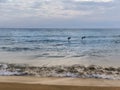 Pelicans Hovering Over the Surf Royalty Free Stock Photo