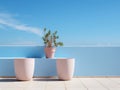 two flower pots on a blue wall with a blue sky in the background Royalty Free Stock Photo