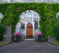 An entrance with a wooden door covered with ivy Royalty Free Stock Photo