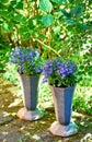 Two flowerpots with Blue Lobelia Erinus in a garden