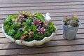 Two flowerpots with ornamental colored plants