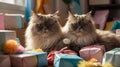 Two Fluffy Persian Cats Among Birthday Presents Royalty Free Stock Photo