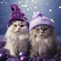 two fluffy kittens wearing silly purple santa hats, bokeh background