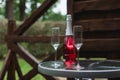 Two flute glasses and an pink champagne bottle with no label on a glass table in a back yard. Royalty Free Stock Photo