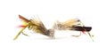 Two fly-fishing grasshopper flies Royalty Free Stock Photo