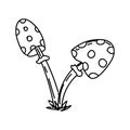 Two Fly Swatter, Hand-drawn Elements In A Doodle Style. Mushrooms. Monochrome Drawing Of Fly Agarics. Simple Icon