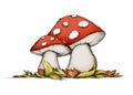 Two flying mushrooms in autumn