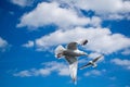 Two flying white seagulls on beautifull cloudy sky blue background, bright natural scene in beautiful weather. Seagull Royalty Free Stock Photo