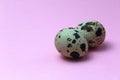 Two quail eggs lie on a pink background