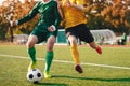 Two Footballers Running and Kicking Game. Adult Football Players Compete in Soccer Match Royalty Free Stock Photo