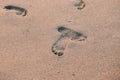 Two footprints barefoot in the desert sand. Texture the surface light sand dune. Concept of honeymoon and walking on the