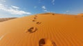 Two Footprints in Desert Sand Royalty Free Stock Photo