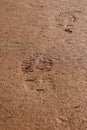 Two Footprints Imprinted Into Damp Sand Royalty Free Stock Photo