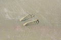 Two Footprints in sand at the Beach Royalty Free Stock Photo