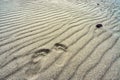 Two footprints on the sea sand, walking on the beach Royalty Free Stock Photo