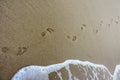 Two footprints on the sea sand, walking on the beach Royalty Free Stock Photo