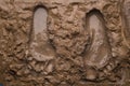 Two footprints on wet mud Royalty Free Stock Photo