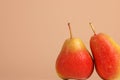 Two Forelle pears