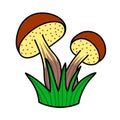 Two forest mushrooms with a brown cap, white mushroom. Primitive childish vector illustration for design Royalty Free Stock Photo