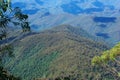 Two forests merging