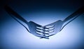 Two forks dinner restaurant utensil