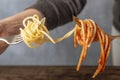 Two forks with white spaghetti on one side and spaghetti with tomato sauce on the other, connected together Royalty Free Stock Photo