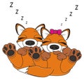 Two foxes sleeping and letters z fly around