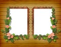 Two frameworks for photo Royalty Free Stock Photo