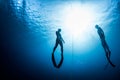 Two free divers ascending from the depth Royalty Free Stock Photo