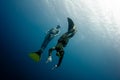 Two freedivers have fun in the depth Royalty Free Stock Photo