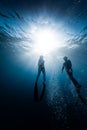 Two freedivers