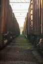 Between two freight trains Royalty Free Stock Photo